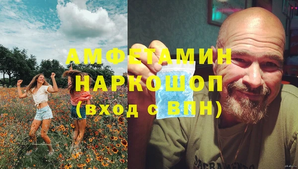 индика Бородино